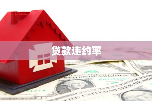 分宜贷款违约率