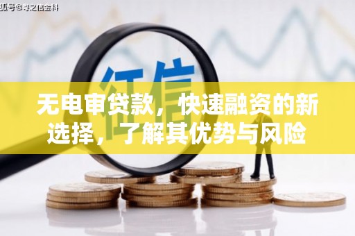 分宜无电审贷款，快速融资的新选择，了解其优势与风险