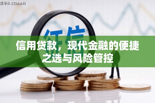 分宜信用贷款，现代金融的便捷之选与风险管控