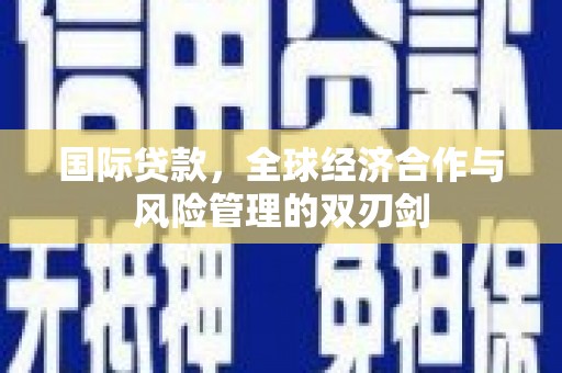 分宜国际贷款，全球经济合作与风险管理的双刃剑