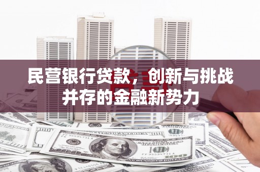 分宜民营银行贷款，创新与挑战并存的金融新势力