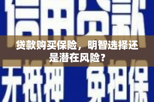 分宜贷款购买保险，明智选择还是潜在风险？