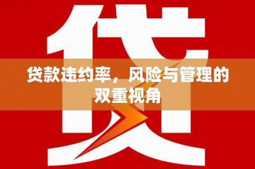 分宜贷款违约率，风险与管理的双重视角