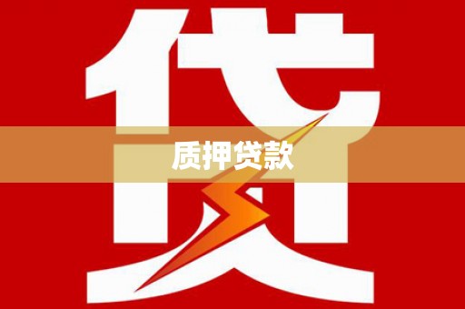 分宜质押贷款