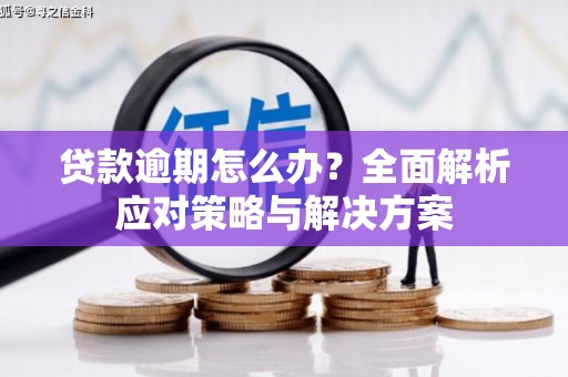 分宜贷款逾期怎么办？全面解析应对策略与解决方案