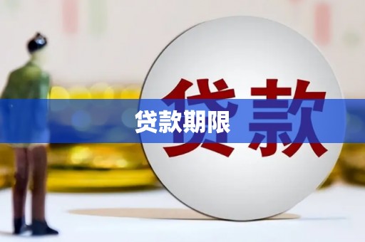 分宜贷款期限