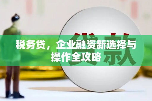 分宜税务贷，企业融资新选择与操作全攻略