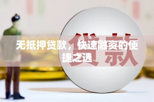 分宜无抵押贷款，快速融资的便捷之选