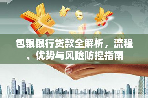 分宜包银银行贷款全解析，流程、优势与风险防控指南