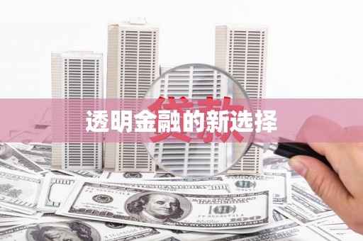 分宜透明金融的新选择