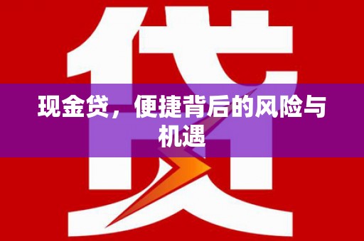 分宜现金贷，便捷背后的风险与机遇