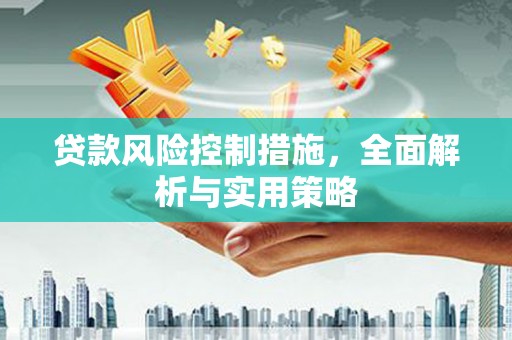 分宜贷款风险控制措施，全面解析与实用策略