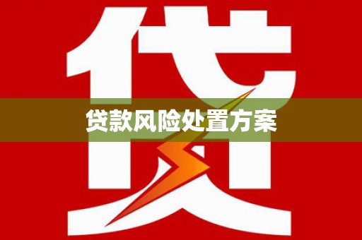 分宜贷款风险处置方案