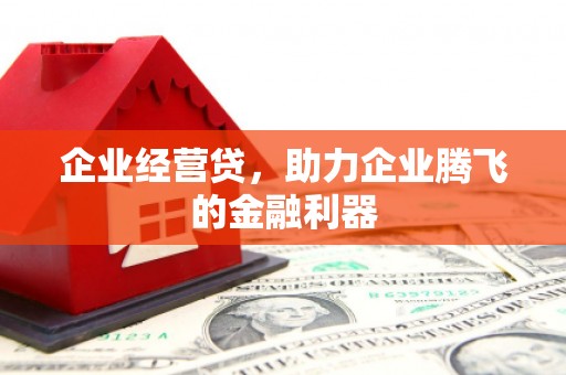 分宜企业经营贷，助力企业腾飞的金融利器