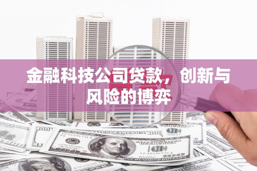分宜金融科技公司贷款，创新与风险的博弈