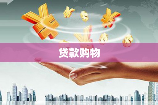 分宜贷款购物