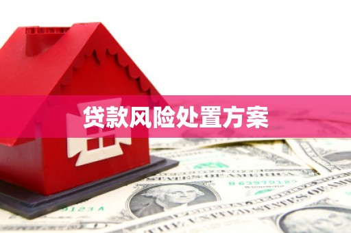 分宜贷款风险处置方案
