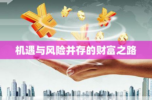 分宜机遇与风险并存的财富之路