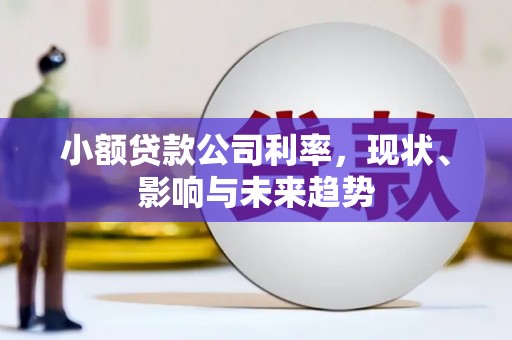 分宜小额贷款公司利率，现状、影响与未来趋势