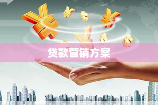分宜贷款营销方案
