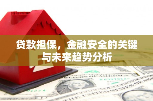 分宜贷款担保，金融安全的关键与未来趋势分析