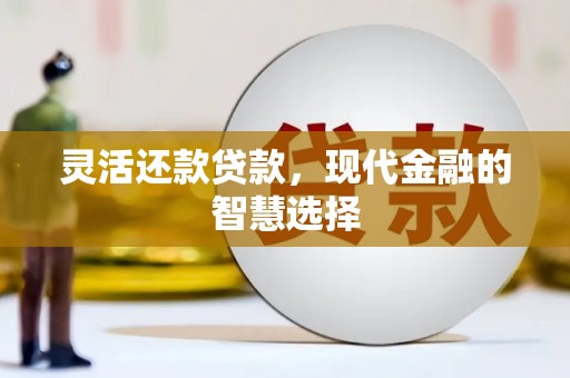 分宜灵活还款贷款，现代金融的智慧选择