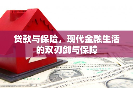 分宜贷款与保险，现代金融生活的双刃剑与保障