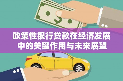 分宜政策性银行贷款在经济发展中的关键作用与未来展望