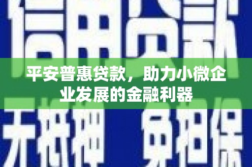 分宜平安普惠贷款，助力小微企业发展的金融利器