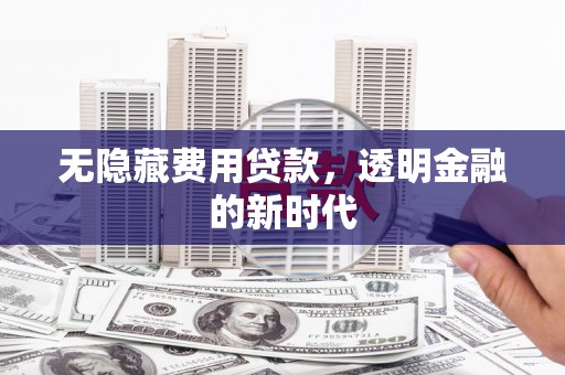 分宜无隐藏费用贷款，透明金融的新时代