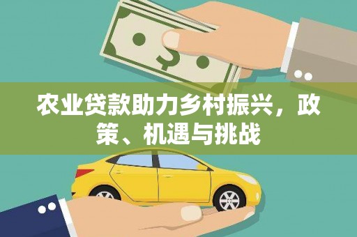 分宜农业贷款助力乡村振兴，政策、机遇与挑战