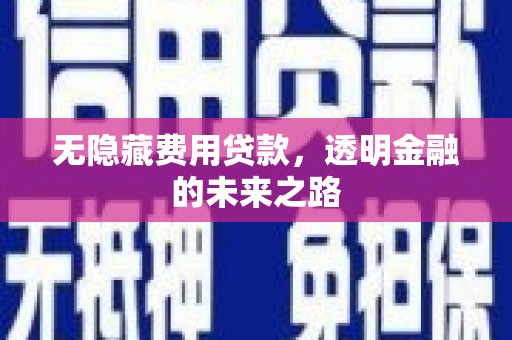 分宜无隐藏费用贷款，透明金融的未来之路