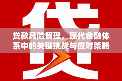 分宜贷款风险管理，现代金融体系中的关键挑战与应对策略