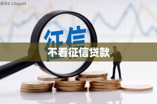 分宜不看征信贷款