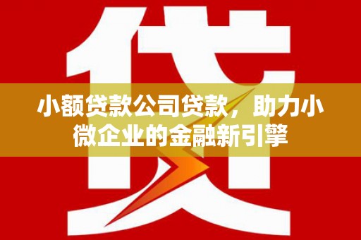 分宜小额贷款公司贷款，助力小微企业的金融新引擎