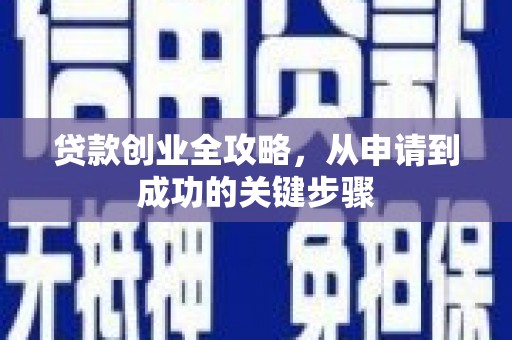 分宜贷款创业全攻略，从申请到成功的关键步骤