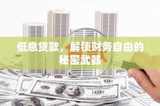分宜低息贷款，解锁财务自由的秘密武器