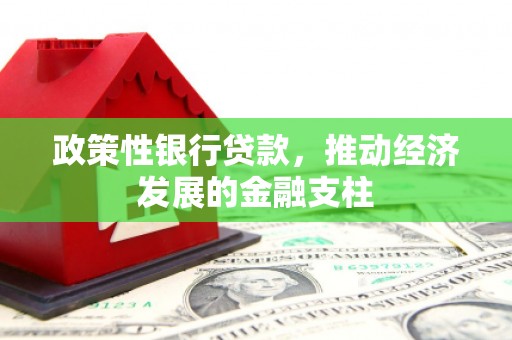 分宜政策性银行贷款，推动经济发展的金融支柱