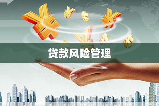 分宜贷款风险管理