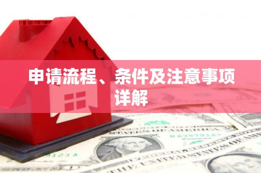 分宜申请流程、条件及注意事项详解