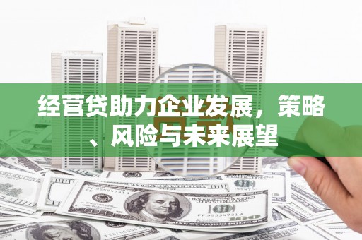 分宜经营贷助力企业发展，策略、风险与未来展望