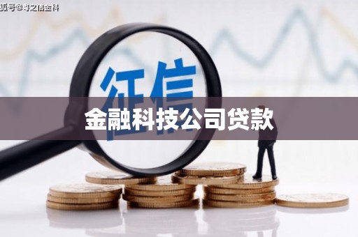 分宜金融科技公司贷款