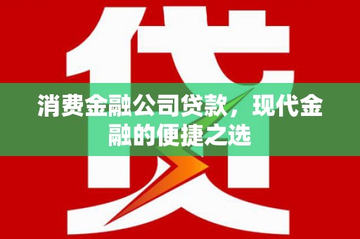 分宜消费金融公司贷款，现代金融的便捷之选