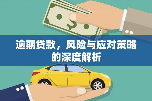 分宜逾期贷款，风险与应对策略的深度解析