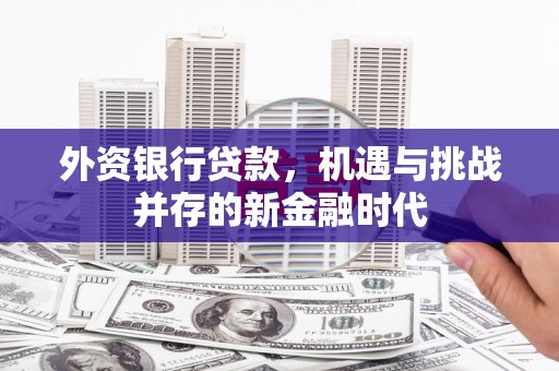 分宜外资银行贷款，机遇与挑战并存的新金融时代