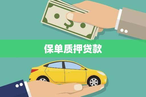 分宜保单质押贷款