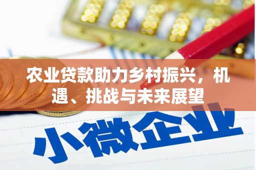 分宜农业贷款助力乡村振兴，机遇、挑战与未来展望