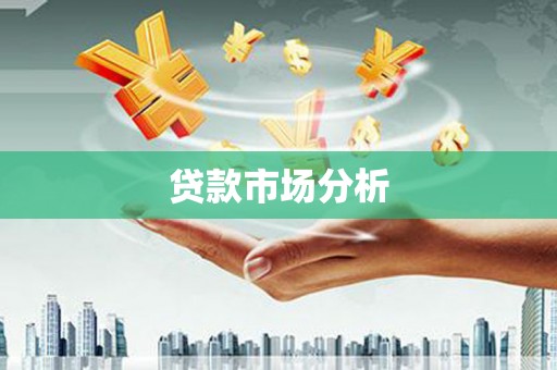分宜贷款市场分析