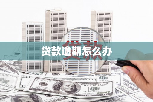 分宜贷款逾期怎么办