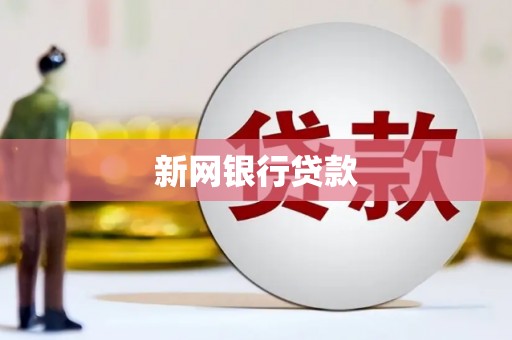 分宜新网银行贷款